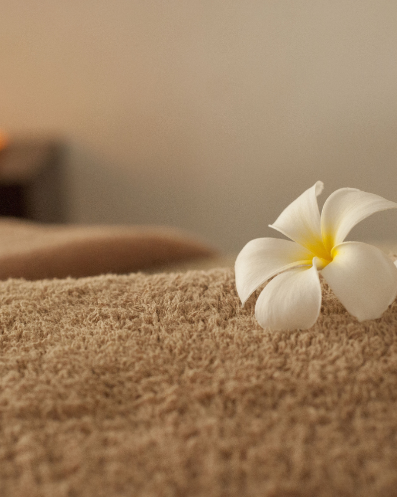 Massage sensoriel à pau - Une praranthèse de douceur - Pau - Annonce Concept - photo 3